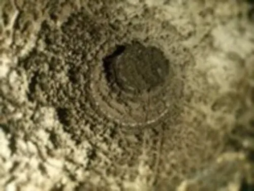 Nettoyage, entretien, vérification et désinfection d'une VMC à Narbonne, Narbonne, CLIM ELEC SERVICE